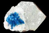 Vibrant Blue Cavansite Clusters on Stilbite & Mordenite - India #168247-2